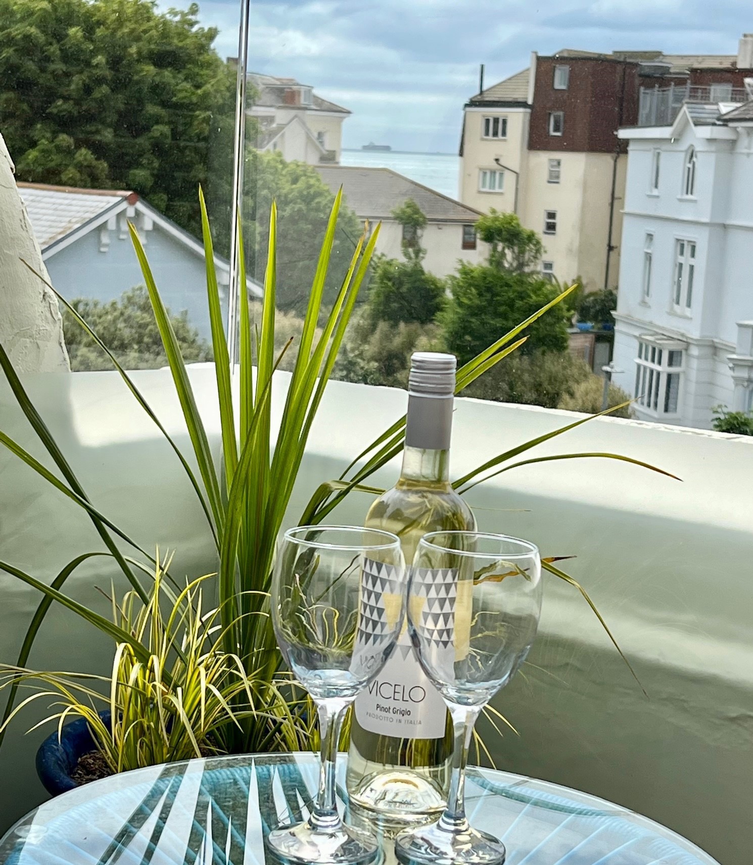 holiday lets southsea, wine and plants on balcony with glimps of the sea