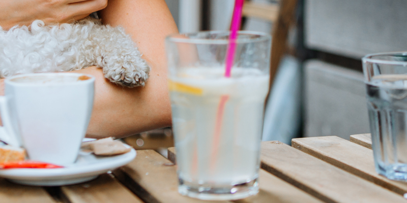 Dog friendly apartments in Southsea