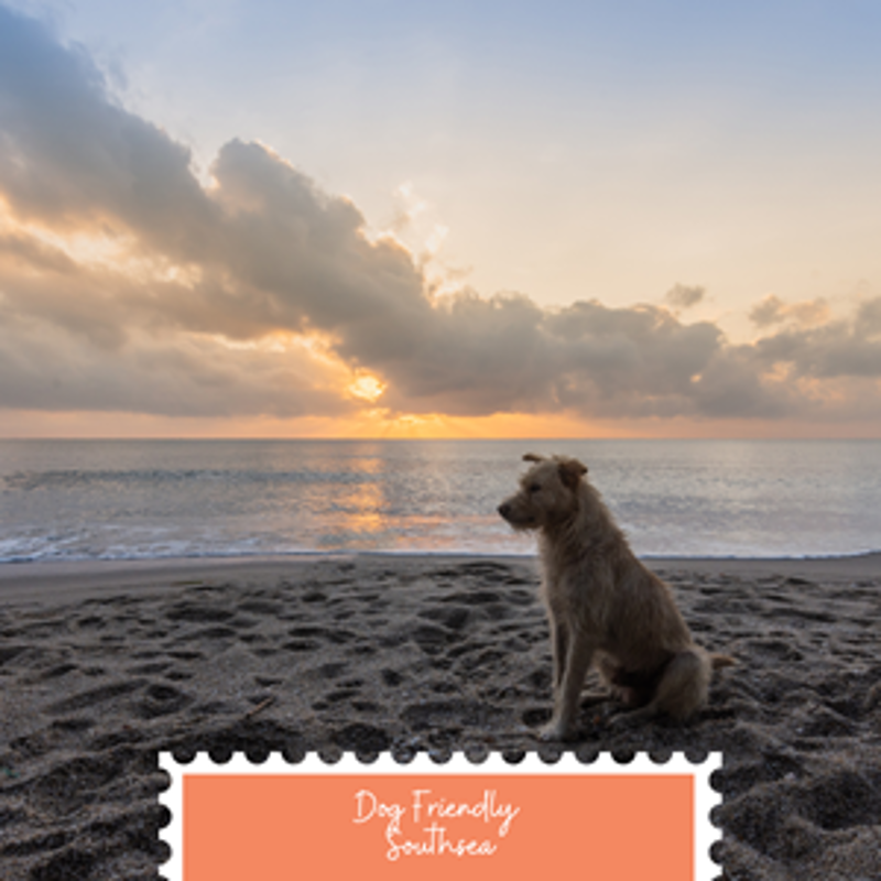 The Ultimate Guide to Dog Friendly Holidays in Southsea & Portsmouth