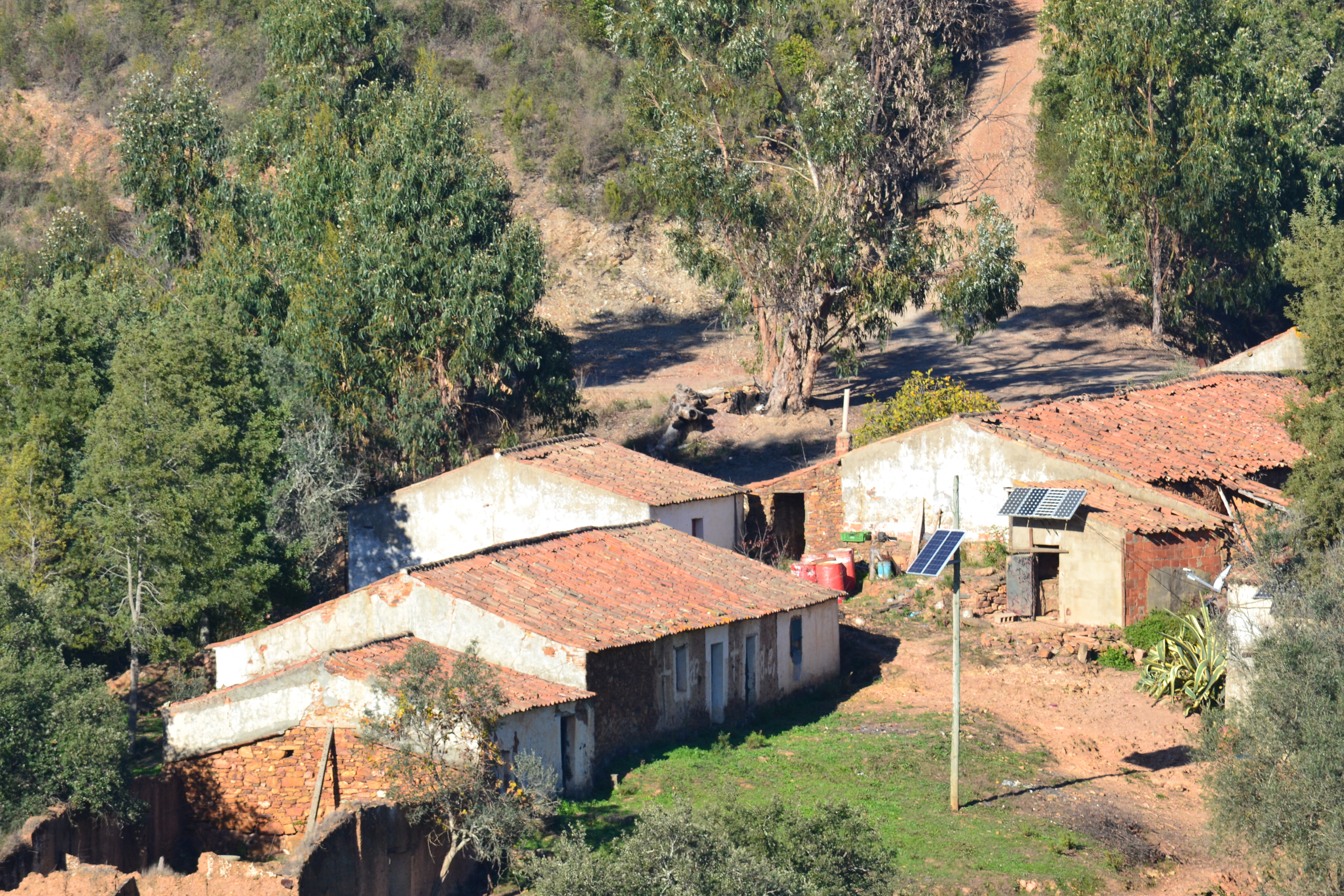 Village