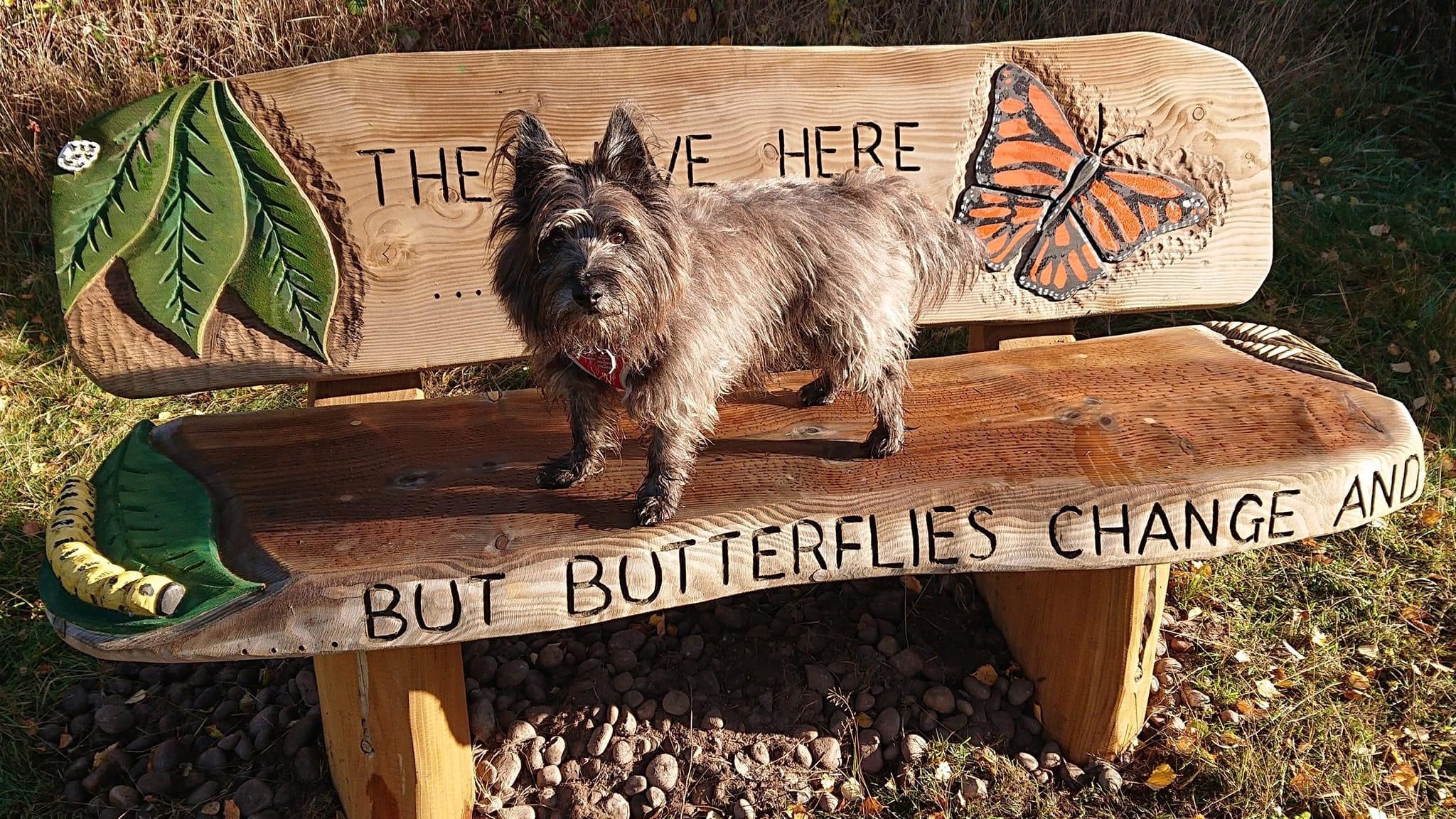 A lovely seat in Ardersier Common A seat in dog friendly Ardersier Common