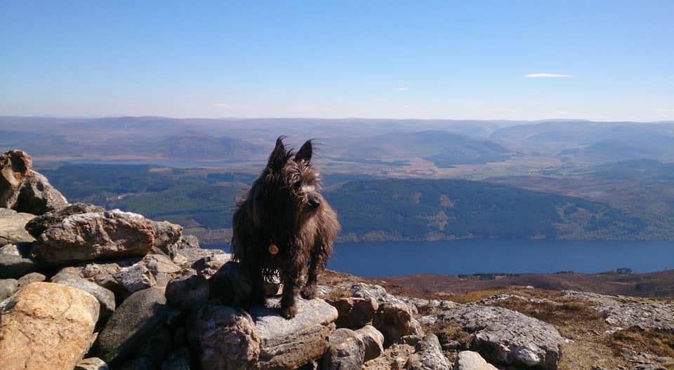 A cairn on a cairn above Loch Ness A cairn on a cairn with Loch Ness in the background