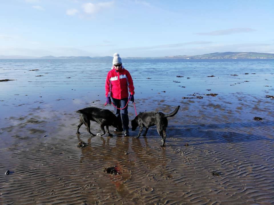 Ardersier Bay with the Black Isle on the opposite shore Ardersier Bay