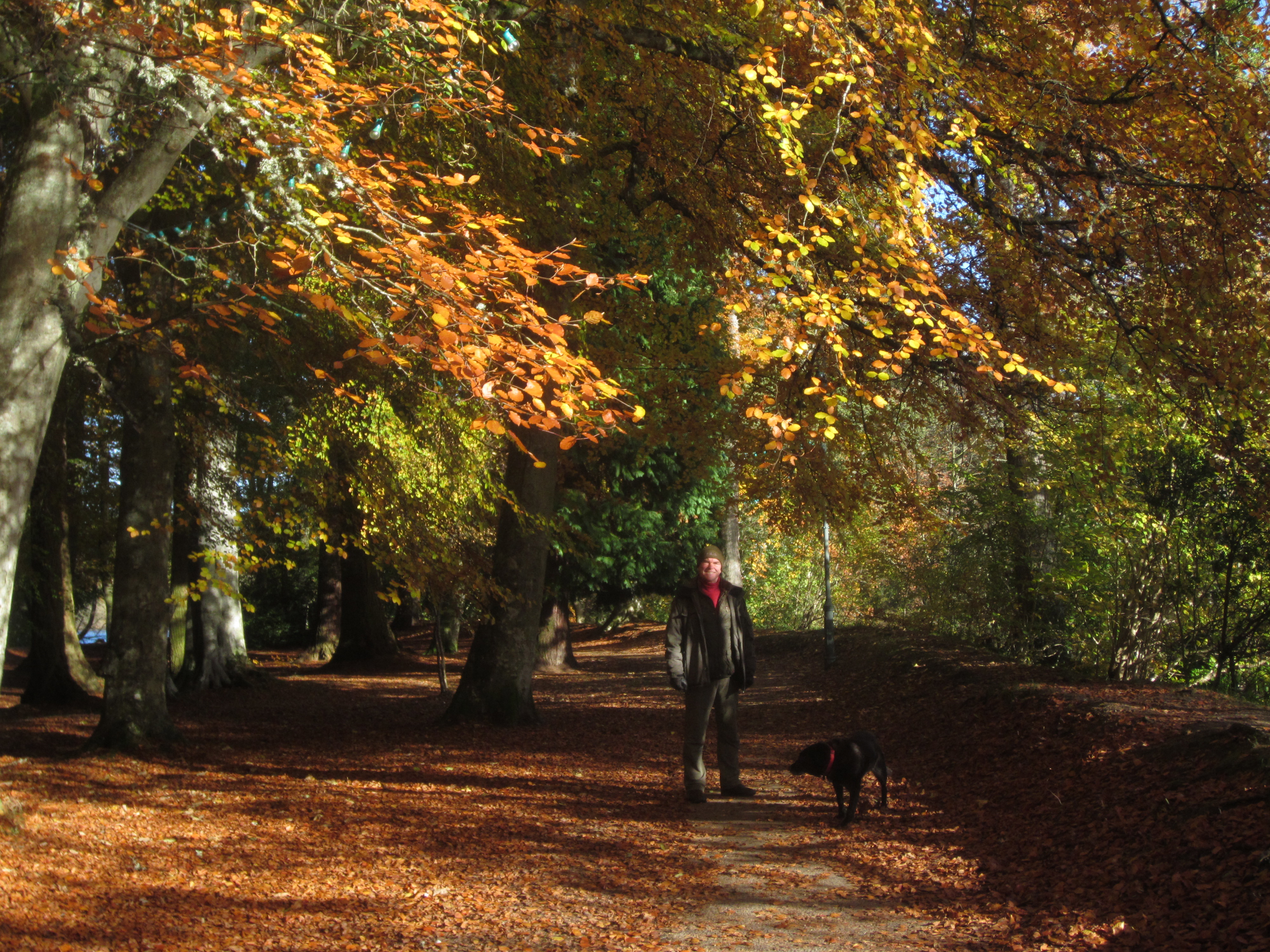 Dog Friendly Ness Islands in Inverness Dog Friendly Ness Islands, superb in Autumn